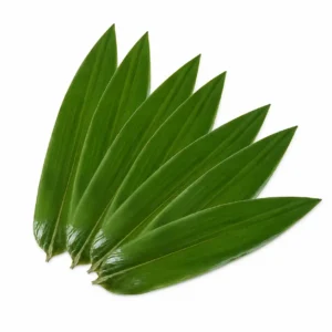 Bamboo Leaves