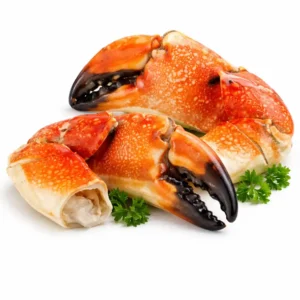 Brown Crab Claw
