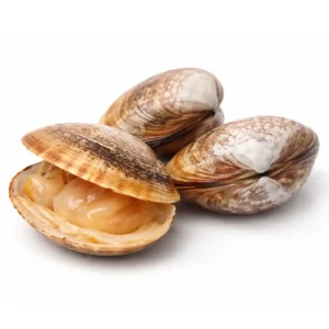Clams Vongole