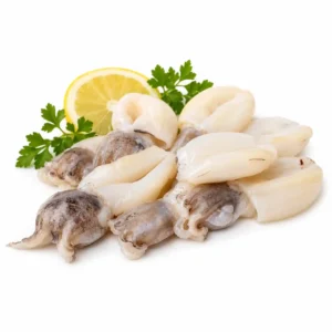 Baby Squid