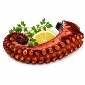 Octopus Tentacles