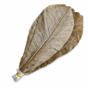 Huba Leaves