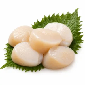 King Scallop