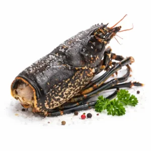 Lobster Head