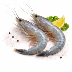 Obsiblue Prawn
