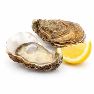 Oysters Fine de Claire