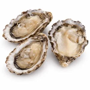 Oysters Tarbouriech