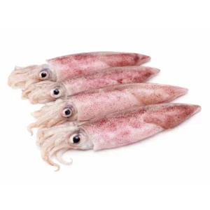 Patagonian Whole Squid