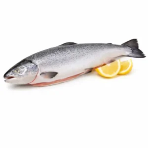Premium Bomlo Salmon