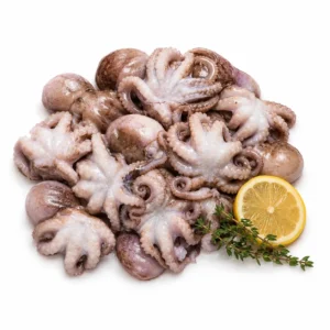 Raw Baby Octopus