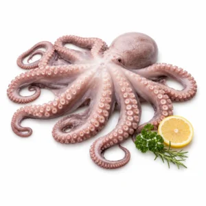 Raw Octopus