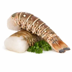Rock Lobster Tail