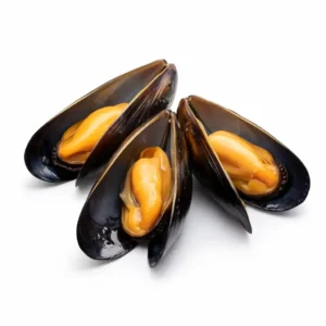 Mussels
