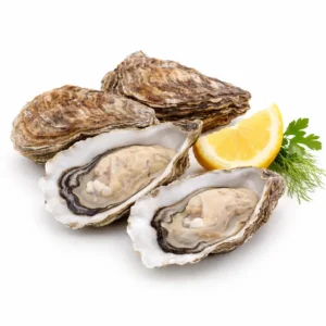 Oysters Fine of Normandy