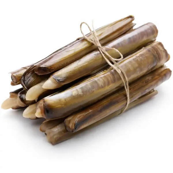 Razor Clams – Sea House LLC