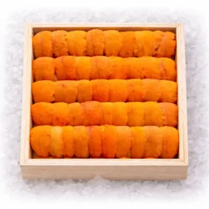Sea Urchin