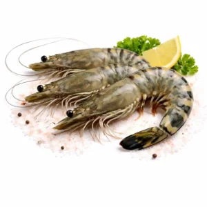 Black Tiger Shrimp