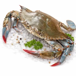 Soft-Shell Crab
