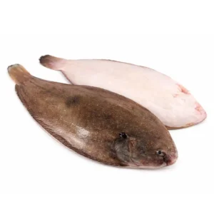 Sole Fish