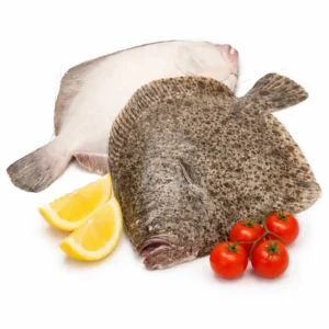 Turbot