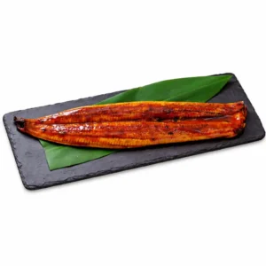 Unagi Eel Kabakayi