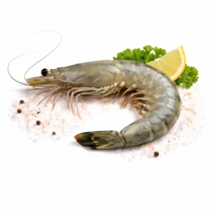 Wild Sea Tiger Prawn