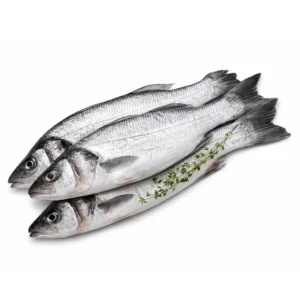 Wild Seabass